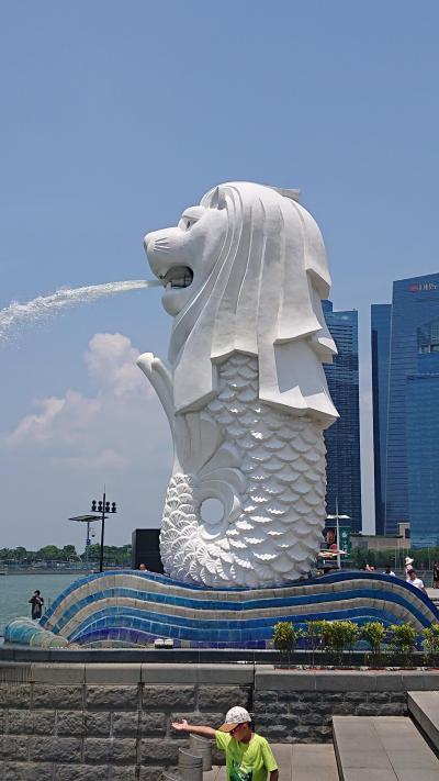 久々のモルディブ。念願のジンベイには会えず…（復路編）