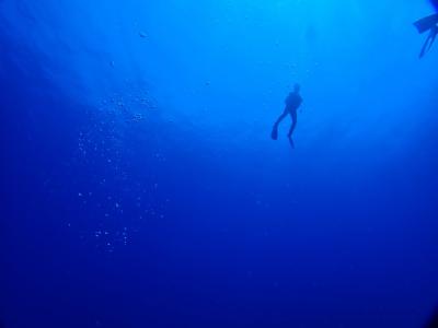 波浪注意報の慶良間諸島でダイビング