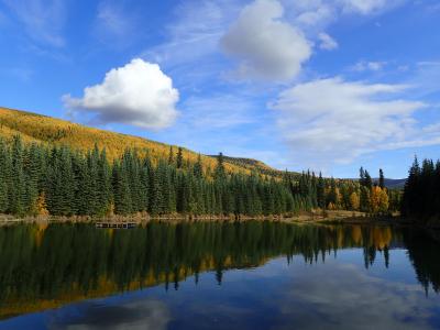 JALチャーター直行便で行く!アラスカ7日間の旅 2019夏~オーロラ・チェナ温泉編~