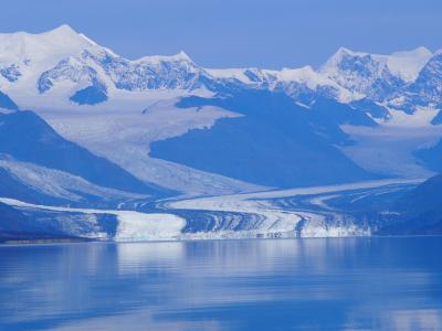 JALチャーター直行便で行く!アラスカ7日間の旅 2019夏~氷河クルーズ編~