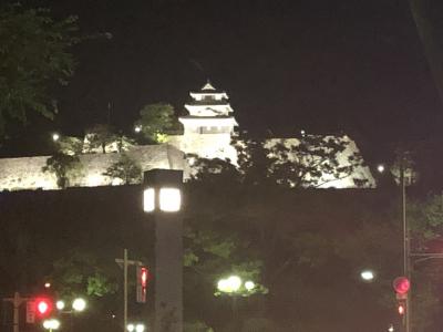 8日間駆け足　四国旅①：徳島香川編