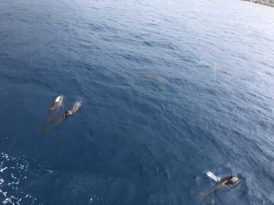 3才の姪とグアム