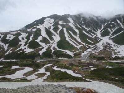 残雪とお花畑と雷鳥と ～針ノ木岳からの、黒部アルペンからの、立山トレッキング