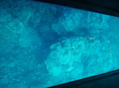 初めての石垣島+竹富島:2