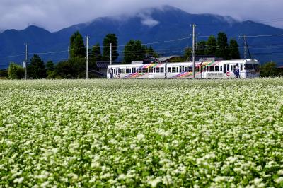 初秋の松本電鉄上高地線沿線に咲き広がる蕎麦の花の風景を探しに訪れてみた