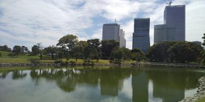 水上バスと浜離宮