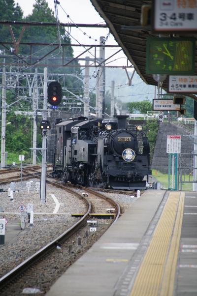 妻と日光へ