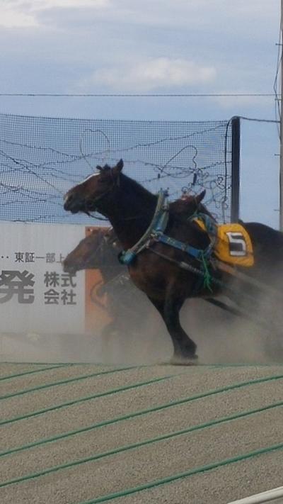 大好き北海道！　帯広、釧路　3日目　真鍋庭園とばんえい競馬