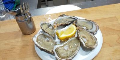 フランスバスクからトゥールーズを経てアンドラへ ③