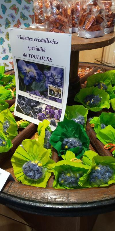 フランスバスクからトゥールーズを経てアンドラへ ④