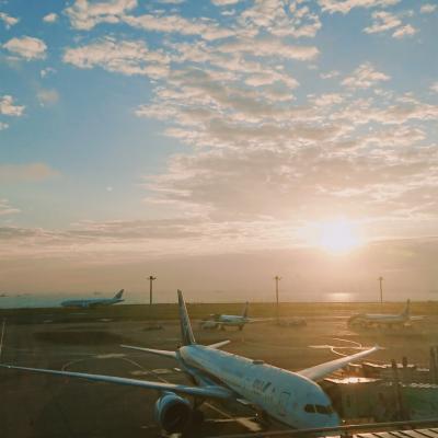 ***京の休日***まずは前泊羽田エクセルホテル東急で飛行機三昧