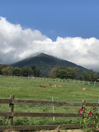 久しぶりの蒜山高原へ