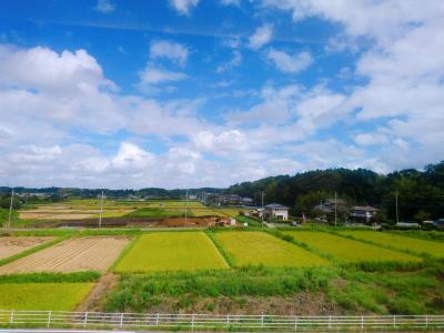 1泊2日の弾丸帰国4★混雑に焦りつつ…川口から日暮里経由成田空港へ