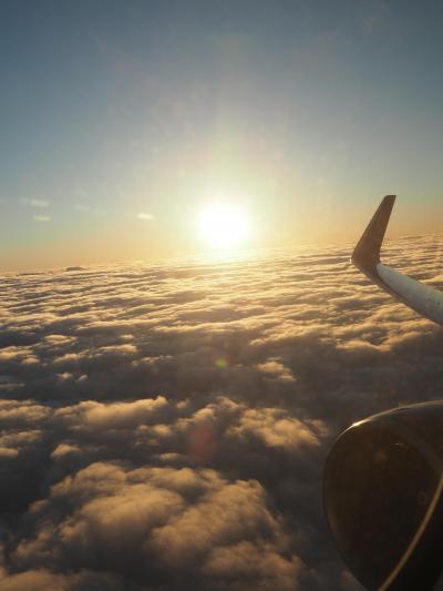 デルタ航空が成田から撤退する前に