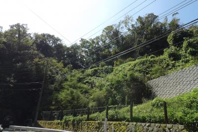 巨福呂坂切通跡－2019年秋