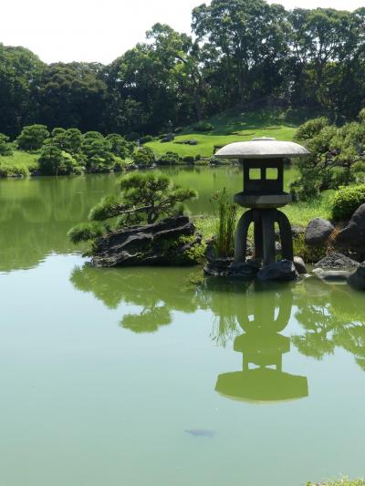 残暑の「清澄庭園」_2019_台風一過の残暑、秋の花は未だ（江東区・清澄）