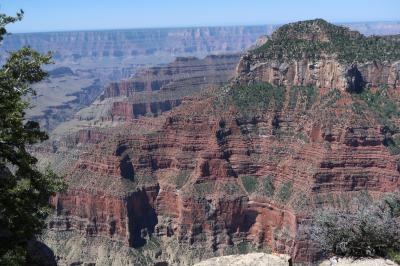 グランドサークル（2019）ユタ周遊　１０　Grand Canyon NP North Rim に寄って帰国の途へ