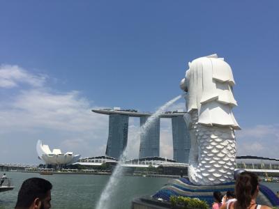 [2019年夏休み] シンガポール航空・A380プレミアムエコノミー搭乗記(伊丹>成田発)