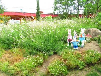 花花♪淡路島国営明石海峡公園よりどでかい馬可波羅花世界楽園･マルコポーロ花世界楽園♪2019年６月中国 揚州・鎮江７泊８日(個人旅行)１０９