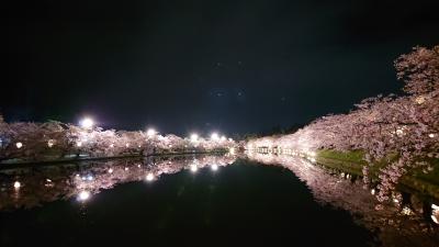 弘前城の桜筏が見たくて2泊3日の親娘旅