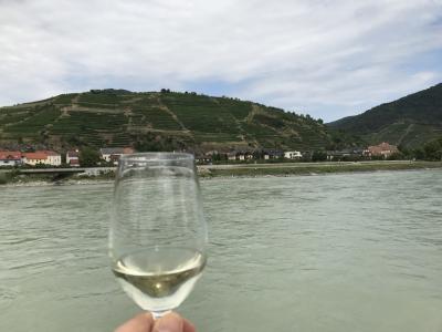 ヴァッハウ・チケットで行くドナウ川クルーズとワイナリー巡り(1)