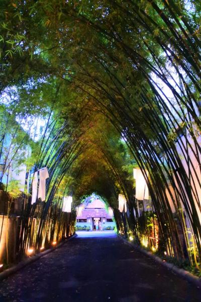 チェンマイ・数多のクメール寺院巡りとのんびり街歩きの旅＠アナンタラチェンマイ　３日目～帰国