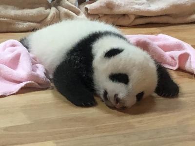 中国鉄道の旅　パート1