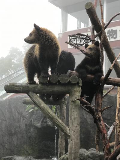 登別クマ牧場からの地獄谷