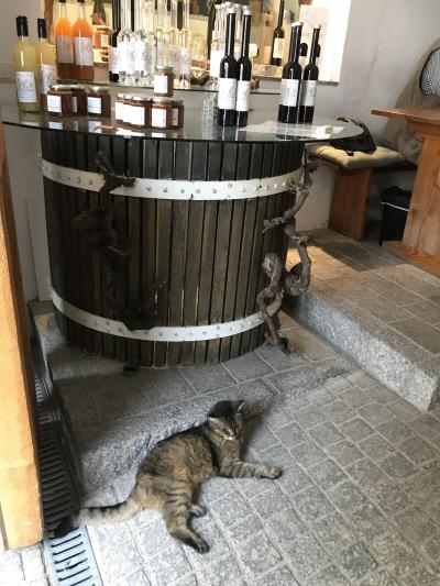 ヴァッハウ・チケットで行くドナウ川クルーズとワイナリー巡り(2)