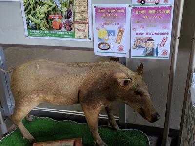 京都・兵庫をつないで能勢ツーリング～もう秋やなあ～