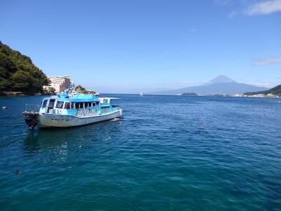 2019年　美しい夏富士が見られました♪♪はとバスで行く淡島