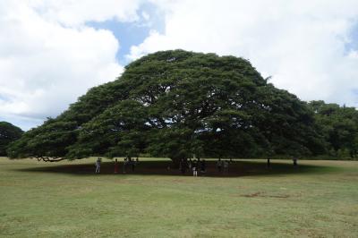 初めてのハワイ3泊5日2日目：ハナウマ湾、ハロナ潮吹き岩、モアナルアガーデン、イオラニ宮殿など