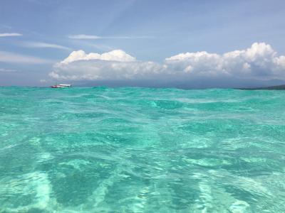フィリピン / オスロブ＆スミロン島  可愛いジンベエザメと 真っ白で美し過ぎるサンドバーを満喫