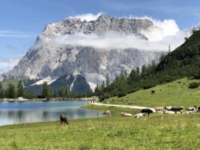 ドイツ チロルツークシュピッツェエリアの旅【9】エーアヴェルトからゼーベンゼーハイキング2019年8月