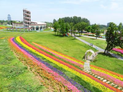 水滴花丘の向こうにピサの斜塔が見えた♪馬可波羅花世界楽園♪マルコポーロ花世界楽園♪2019年６月中国 揚州・鎮江７泊８日(個人旅行)１１９