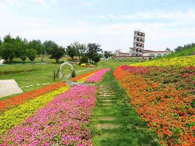 壁も屋根も全部本物の花が植えられている花之教堂♪花の教会堂♪マルコポーロ花世界楽園♪2019年６月中国 揚州・鎮江７泊８日(個人旅行)１２１