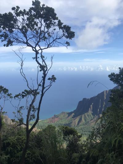 2019年夏はじめてのカウアイ島がお気に入りに＆オアフ島6泊8日～カウアイ島編