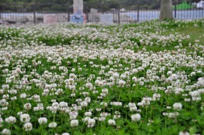 平成から令和へ! 昭和の面影「渡鹿野島」と紀伊半島一周