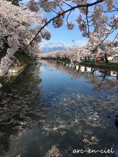 ◆父娘撮り旅◆弘前の桜＆グルメ三昧４泊５日（2018）【②弘前編】