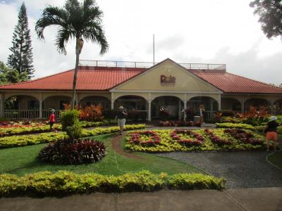 いつものママ友4人でハワイへいってきました~ 5日目~帰国