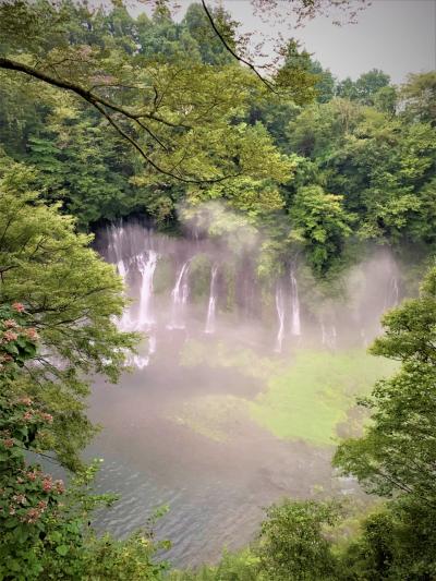 静岡～山梨ドライブ １．富士山麓  朝霧高原を駆け巡り、 ” 静岡おでん” を味わいます