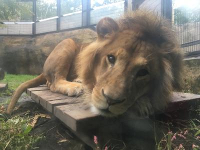 ★今日は旭川に来たよ★②  台風来たけど旭山動物園