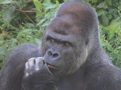 科学と動物を学ぶ！名古屋市内1日観光！