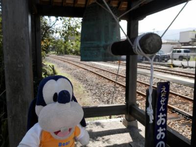 グーちゃん、福井へ行く！（越前大野/東大王に挑戦！！編）