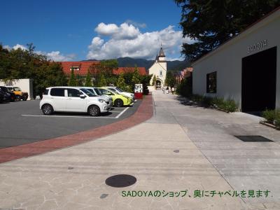 久しぶりの甲州路（甲府・石和温泉・御殿場)