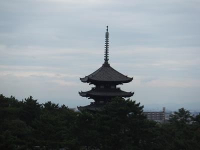 奈良公園周辺の観光【８年ぶりの奈良旅行（その２）】