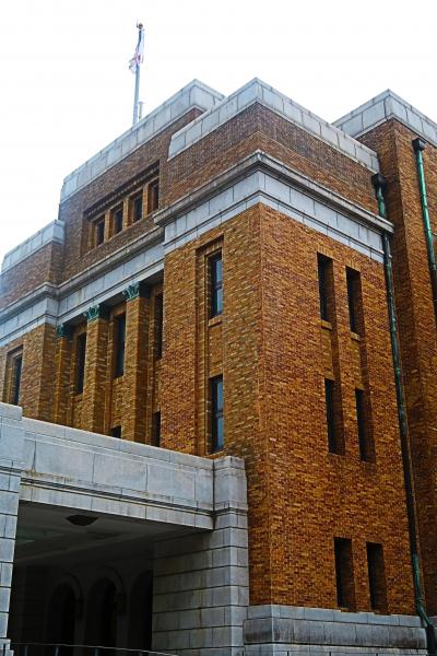 日本の博物図譜: 十九世紀から現代まで (国立科学博物館叢書 1