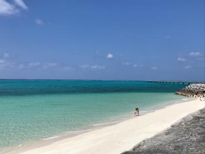 2019年10月 5泊6日沖縄宮古島旅行記④朝ラン～伊良部島観光～郷家ライブ