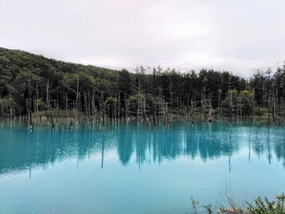 2019.9月 弟の還暦祝いで白金温泉へ
