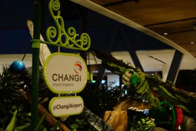 JAL修行シンガ2回目